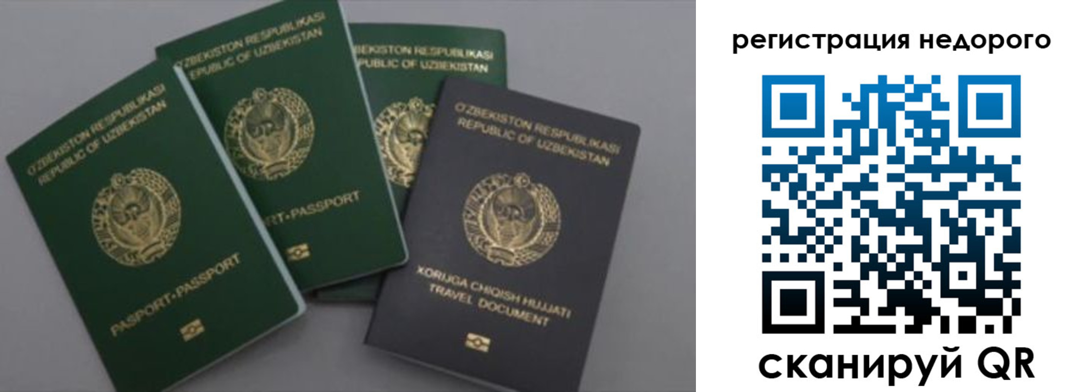 пропишу в квартире в Острове